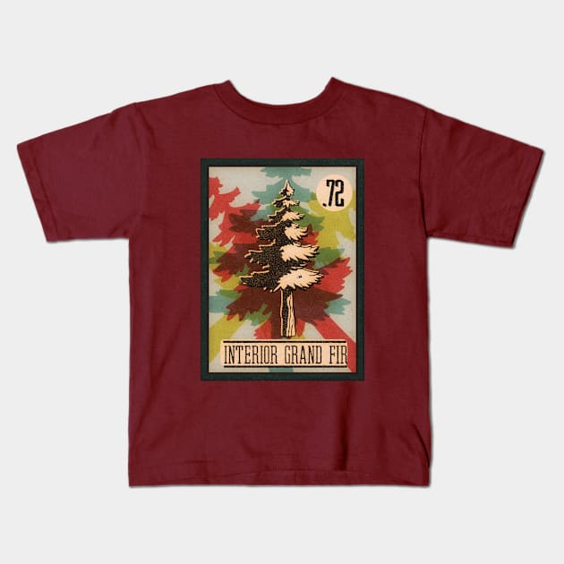 No.72 Interior Grand Fir Kids T-Shirt by theBenCorlett